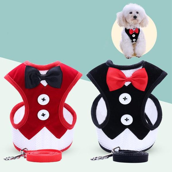 dog collars & leashes 2021 cat pet leash chest harness vest style evening dress bow tie corset out adjustable dl001
dog collars & leashes 2021 cat pet leash chest harness vest style evening dress bow tie corset out adjustable dl001