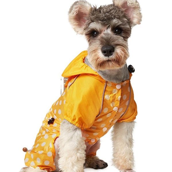 dogs raincoat for pets cats fashion jackets coats waterproof solid hoodies pet's clothes summer autumn comfortable rain supplies dog ap
dogs raincoat for pets cats fashion jackets coats waterproof solid hoodies pet's clothes summer autumn comfortable rain supplies dog ap