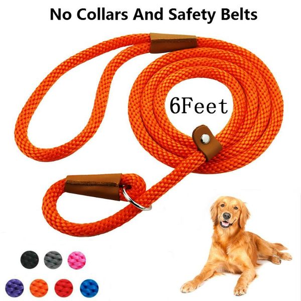 durable slip rope dog leash collar 2 in 1 adjustable loop comfortable small meidum large pet harness supplies collars & leashes
durable slip rope dog leash collar 2 in 1 adjustable loop comfortable small meidum large pet harness supplies collars & leashes
