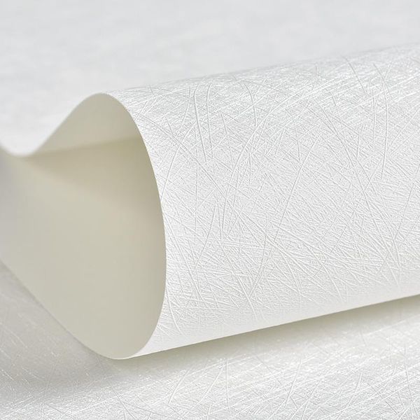 wallpapers modern solid color silk home decor creamy white grey plain wall paper roll decorative for bedroom living room walls
wallpapers modern solid color silk home decor creamy white grey plain wall paper roll decorative for bedroom living room walls