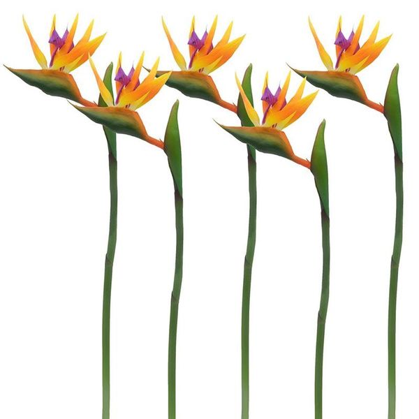 decorative flowers & wreaths 6 pcs 23.7 inchs orange large bird of paradise artificial bouquet for home garden decoration wedding party deco
decorative flowers & wreaths 6 pcs 23.7 inchs orange large bird of paradise artificial bouquet for home garden decoration wedding party deco