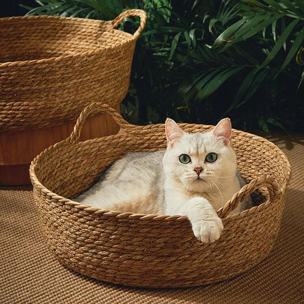 cat beds & furniture bed rattan four-season universal mat all natural manual summer cool pet supplies cattail woven house nest
cat beds & furniture bed rattan four-season universal mat all natural manual summer cool pet supplies cattail woven house nest