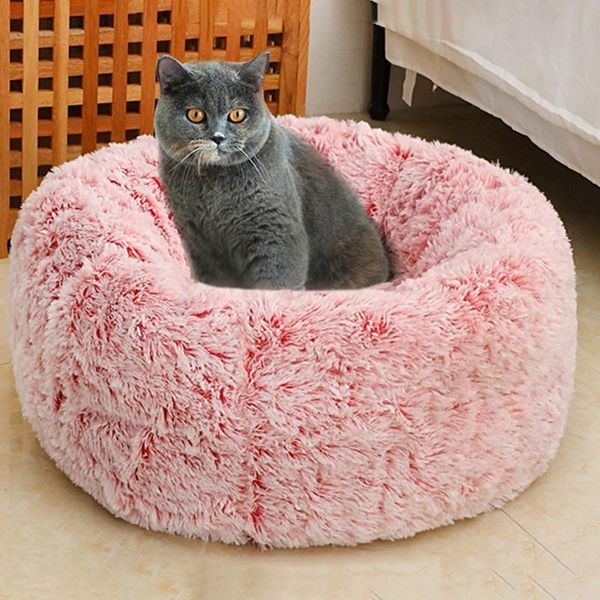 cat beds & furniture round plush bed house soft coral velvet pet sleeping mat winter puppy kennel cushion portable pad pets supplies
cat beds & furniture round plush bed house soft coral velvet pet sleeping mat winter puppy kennel cushion portable pad pets supplies