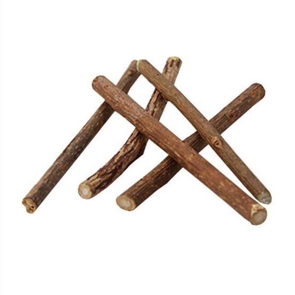 cat toys 15pcs cleaning teeth natural catnip pet molar stick silvervine sticks chew toy
cat toys 15pcs cleaning teeth natural catnip pet molar stick silvervine sticks chew toy