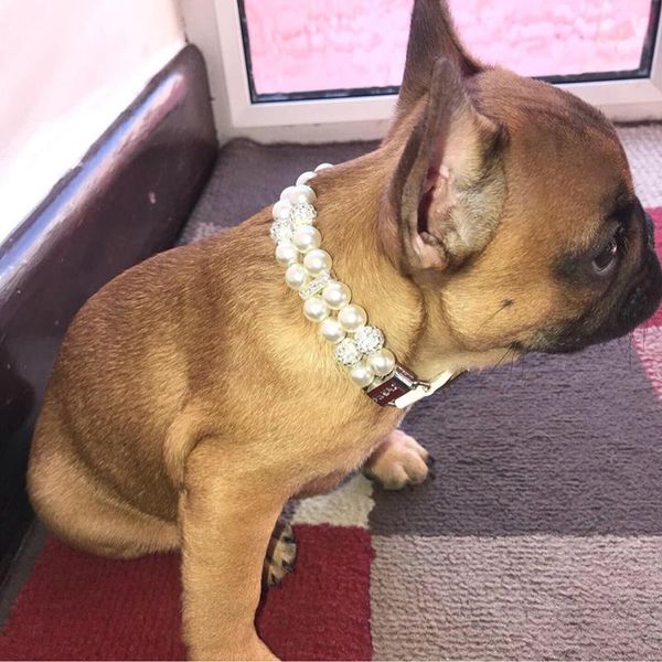 artificial pearls studded collar fashion dog pet collars adjustable leather for small dogs & leashes
artificial pearls studded collar fashion dog pet collars adjustable leather for small dogs & leashes