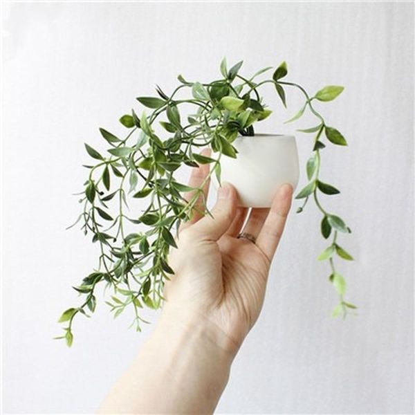 artificial silicone succulent plant fridge magnet for home el party decoration potted balcony bonsai with vase decorative flowers & wreaths
artificial silicone succulent plant fridge magnet for home el party decoration potted balcony bonsai with vase decorative flowers & wreaths