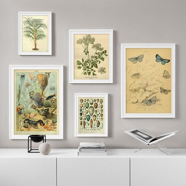 paintings butterflies vintage poster insects eggs ocean botanical wall art picture and prints canvas painting decoration
paintings butterflies vintage poster insects eggs ocean botanical wall art picture and prints canvas painting decoration