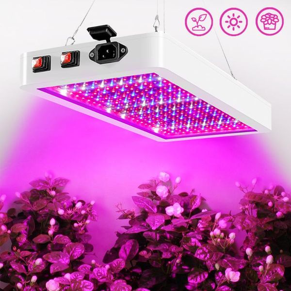 waterproof 2000w/1000w led grow light phytolamp for plants 2835 chip phyto growth lamp full spectrum plant lighting indoor lights
waterproof 2000w/1000w led grow light phytolamp for plants 2835 chip phyto growth lamp full spectrum plant lighting indoor lights
