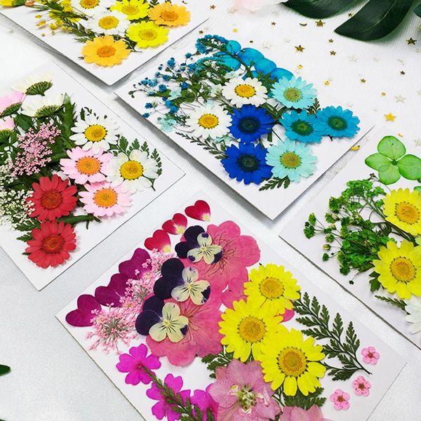 decorative flowers & wreaths small real dried flower natural dry plants for candle epoxy resin pendant necklace jewelry making craft diy acc
decorative flowers & wreaths small real dried flower natural dry plants for candle epoxy resin pendant necklace jewelry making craft diy acc