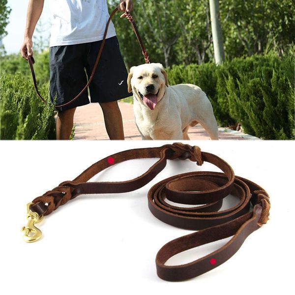 dog collars & leashes genuine leather braided leash with traffic handle for medium large dogs walking control deluxe copper hook pet lead
dog collars & leashes genuine leather braided leash with traffic handle for medium large dogs walking control deluxe copper hook pet lead