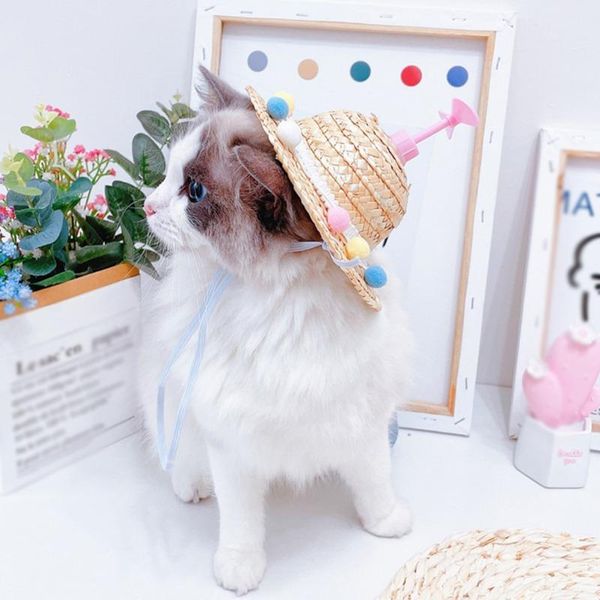 cat costumes pet dog straw hat funny sunhat dragonfly cute woven outdoor travel accessories spring summer
cat costumes pet dog straw hat funny sunhat dragonfly cute woven outdoor travel accessories spring summer