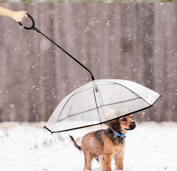 dog apparel tpu pet umbrella keeps dry comfortable in rain snowing sleet convenient gear transparent with leads solid
dog apparel tpu pet umbrella keeps dry comfortable in rain snowing sleet convenient gear transparent with leads solid