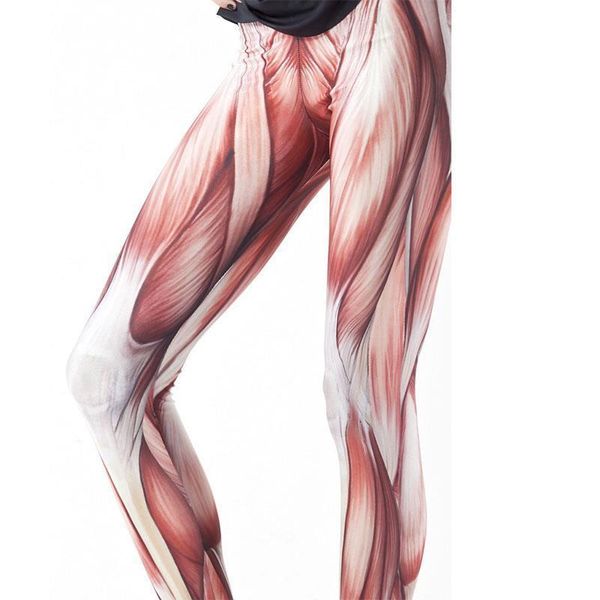fashion muscles patterned women leggings girls tights leg elasticity pants print seamless legging, Black
fashion muscles patterned women leggings girls tights leg elasticity pants print seamless legging, Black