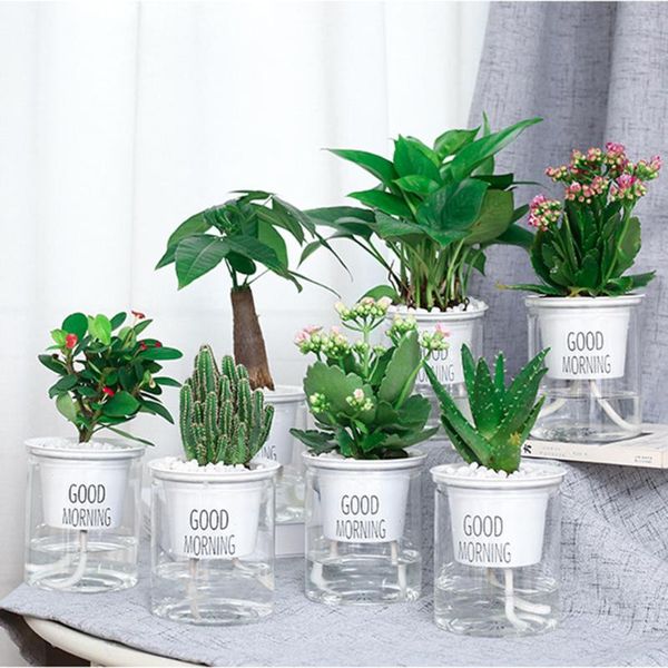 planters & pots transparent round plastic hydroponic flower pot for water absorption succulent aquaculture self-watering flowerpot automatic
planters & pots transparent round plastic hydroponic flower pot for water absorption succulent aquaculture self-watering flowerpot automatic