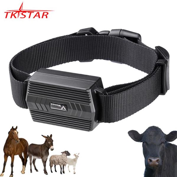car gps & accessories animal camel tracker for cow tk935 tkstar locator waterproof magnet voice monitor web app
car gps & accessories animal camel tracker for cow tk935 tkstar locator waterproof magnet voice monitor web app