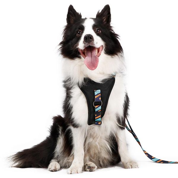 dog collars & leashes reflective pet chest strap adjustable breathable breast pad vests and harnesses for small large dogs supplies
dog collars & leashes reflective pet chest strap adjustable breathable breast pad vests and harnesses for small large dogs supplies