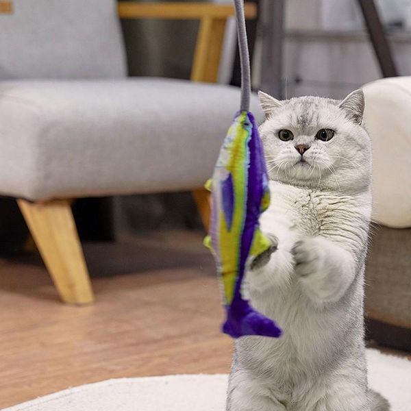 cat toys home development style pet funny stick for hoom kitchen utensils decor 1pc item items
cat toys home development style pet funny stick for hoom kitchen utensils decor 1pc item items