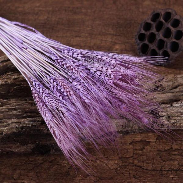 decorative flowers & wreaths 50/100pcs natural dried wheat ear flower arrangementreal stalks grain bouquets diy craft for office home festiv
decorative flowers & wreaths 50/100pcs natural dried wheat ear flower arrangementreal stalks grain bouquets diy craft for office home festiv