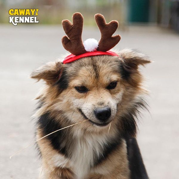 dog apparel cawayi kennel pet supplies antlers headband adjust christmas dogs cats hat cute ornaments gift caps d2107
dog apparel cawayi kennel pet supplies antlers headband adjust christmas dogs cats hat cute ornaments gift caps d2107