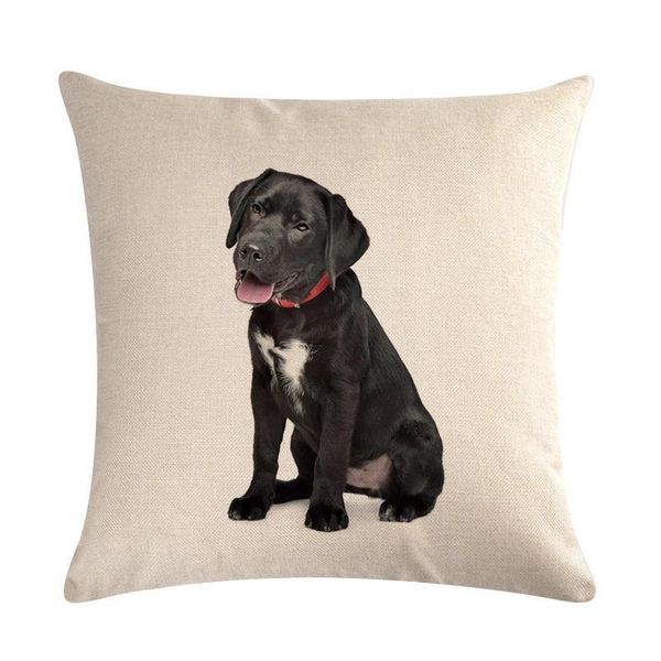 cushion/decorative pillow lovely dogs throw cover 45x45 cm pillowcases for car chair sofa square cushion covers
cushion/decorative pillow lovely dogs throw cover 45x45 cm pillowcases for car chair sofa square cushion covers