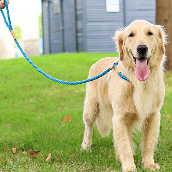 portable dog leash slip rope lead strong heavy duty braided no pull training leashes for medium large dogs collars &
portable dog leash slip rope lead strong heavy duty braided no pull training leashes for medium large dogs collars &