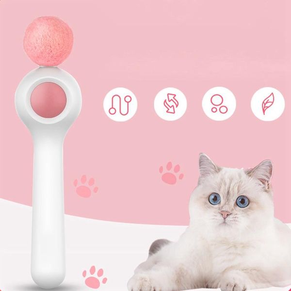 cat toys tease wand toy with catnip kitten funny retractable rod fun stick pet supplies
cat toys tease wand toy with catnip kitten funny retractable rod fun stick pet supplies