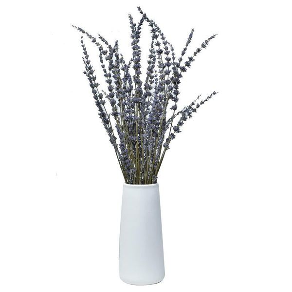 decorative flowers & wreaths 2021 direct selling fashion 200g home decoration dried wedding bouquets pure natural vase flower lavender n
decorative flowers & wreaths 2021 direct selling fashion 200g home decoration dried wedding bouquets pure natural vase flower lavender n