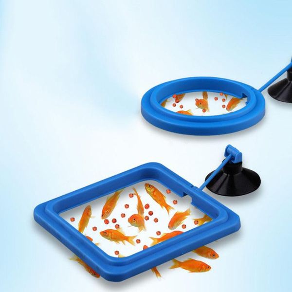 air pumps & accessories aquarium feeding ring fish tank station floating food tray feeder square circle accessory with suction cup
air pumps & accessories aquarium feeding ring fish tank station floating food tray feeder square circle accessory with suction cup