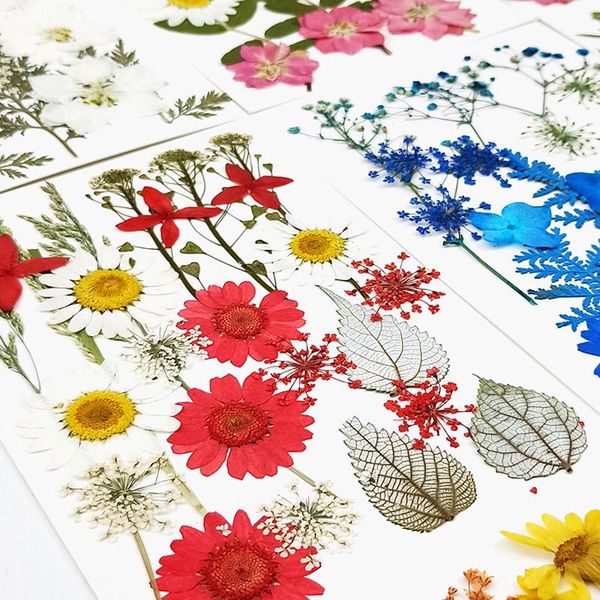 decorative flowers & wreaths 1 bag colorful real dried flower plant for candle pendant necklace jewelry making craft diy access
decorative flowers & wreaths 1 bag colorful real dried flower plant for candle pendant necklace jewelry making craft diy access