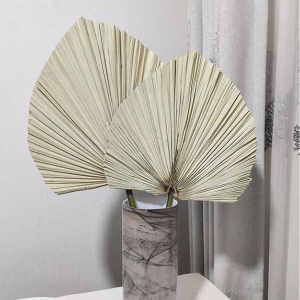decorative flowers & wreaths natural dried flower palm leaf diy art wall hanging decoration for wedding arch arrangement party home po props
decorative flowers & wreaths natural dried flower palm leaf diy art wall hanging decoration for wedding arch arrangement party home po props