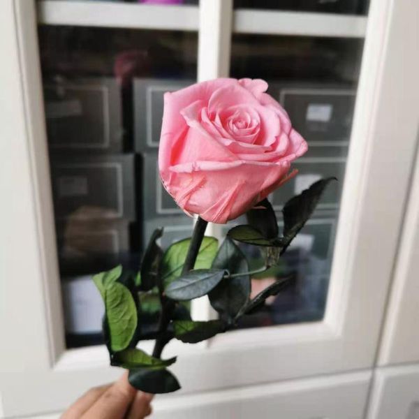 decorative flowers & wreaths 4-5cm/28cm,natural preserved rose flower with stem,real eternal display for wedding party home decoration,mothe
decorative flowers & wreaths 4-5cm/28cm,natural preserved rose flower with stem,real eternal display for wedding party home decoration,mothe