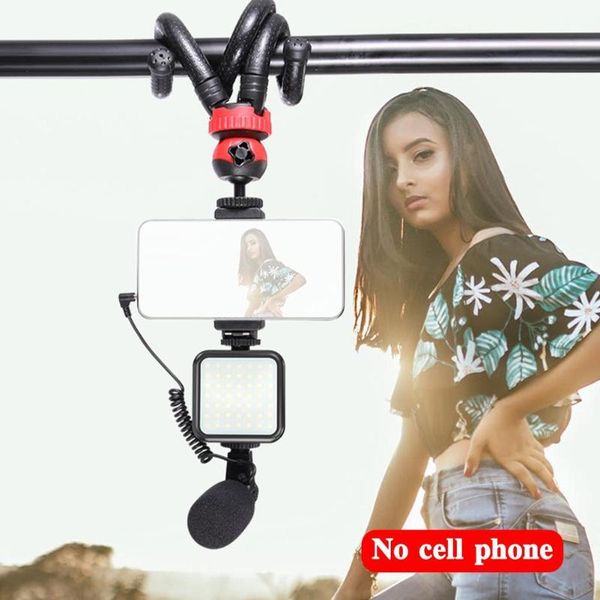 condenser microphone with tripod led fill light for professional po video camera phone interview live recording microphones
condenser microphone with tripod led fill light for professional po video camera phone interview live recording microphones