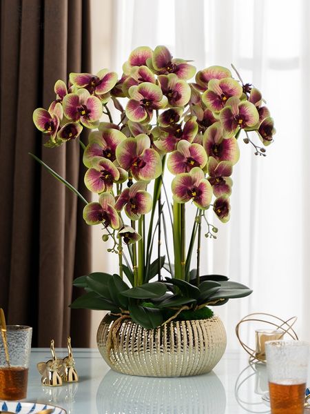 1 set orchids arrangement real touch big size luxury table flower beautiful color home l decor no vase
1 set orchids arrangement real touch big size luxury table flower beautiful color home l decor no vase