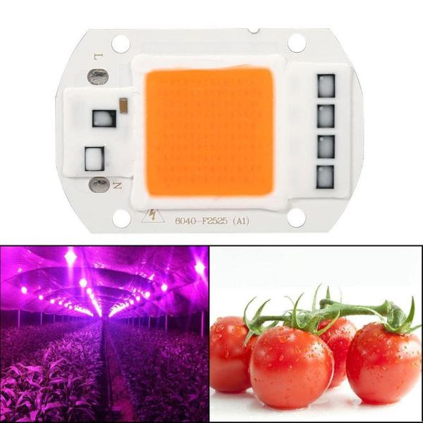 grow lights 50w 220v full spectrum led cob chip light growth lamp garden hydroponic plant
grow lights 50w 220v full spectrum led cob chip light growth lamp garden hydroponic plant