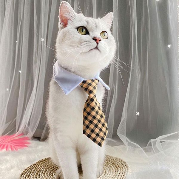dog collars & leashes cat striped bow tie animal bowtie collar pet adjustable neck white necktie for party wedding
dog collars & leashes cat striped bow tie animal bowtie collar pet adjustable neck white necktie for party wedding