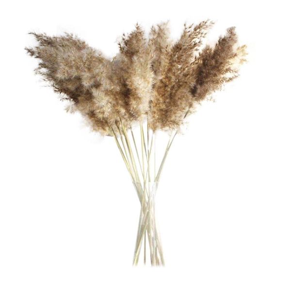 50/30pcs natural dried flowers brown bouquet boho decoration home bedroom living room 50cm party favor
50/30pcs natural dried flowers brown bouquet boho decoration home bedroom living room 50cm party favor