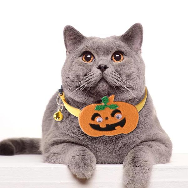 dog collars & leashes creative arrival pet decorations halloween christmas collar cat suede necklace
dog collars & leashes creative arrival pet decorations halloween christmas collar cat suede necklace