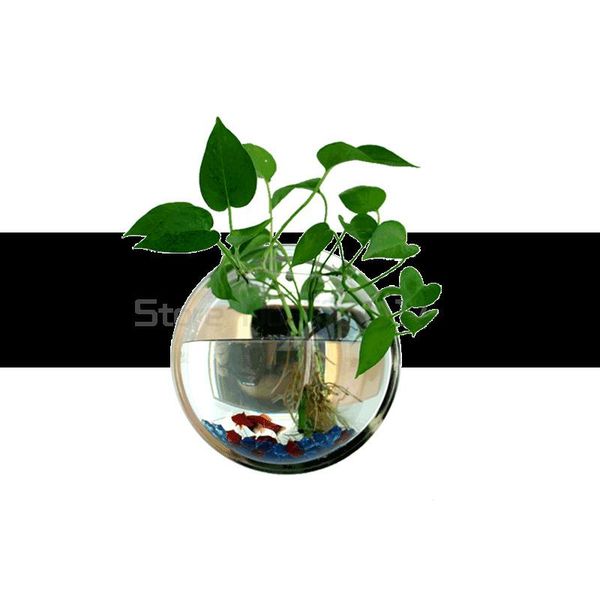 aquariums wall hanging aquarium ecological creativity mini round mirror decoration small goldfish tank
aquariums wall hanging aquarium ecological creativity mini round mirror decoration small goldfish tank