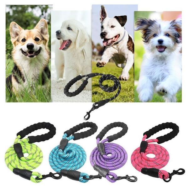 dog collars & leashes reflective medium-sized large traction rope pet running tracking comfortable handles strip long
dog collars & leashes reflective medium-sized large traction rope pet running tracking comfortable handles strip long