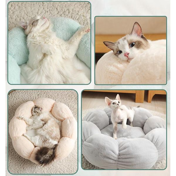 cat beds & furniture soft nest round flower chair bed warmth plush puppy dog kennel kitten basket sofa mat for cats goods pet accessories pr
cat beds & furniture soft nest round flower chair bed warmth plush puppy dog kennel kitten basket sofa mat for cats goods pet accessories pr