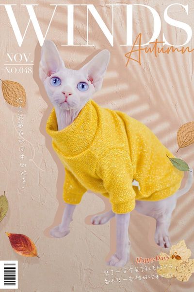 cat costumes sphinx devon rex hairless clothes clothing for cats t-shirt sweater shining silk is not very thick but it looks really nice
cat costumes sphinx devon rex hairless clothes clothing for cats t-shirt sweater shining silk is not very thick but it looks really nice
