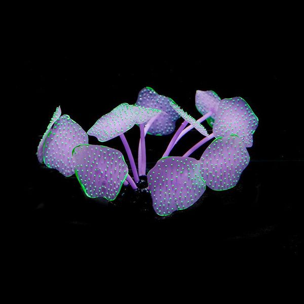 decorations 1 pcs silicone glowing artificial fish tank mushroom coral plants underwater ornament aquarium decor accessories
decorations 1 pcs silicone glowing artificial fish tank mushroom coral plants underwater ornament aquarium decor accessories
