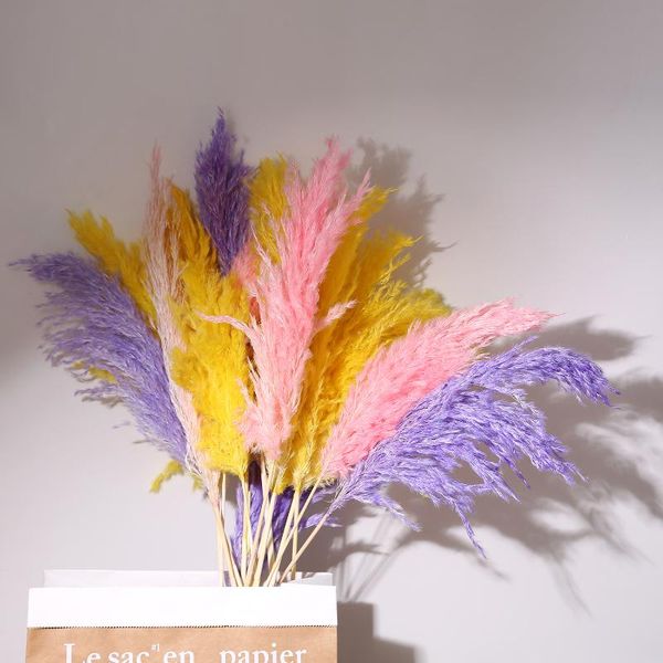 decorative flowers & wreaths 5 pcs dried big reed home decor wedding decoration mariage flores artificiales living room bedroom office floor
decorative flowers & wreaths 5 pcs dried big reed home decor wedding decoration mariage flores artificiales living room bedroom office floor