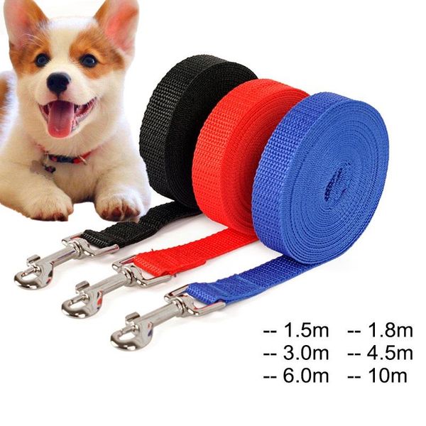 nylon dog leashes 3 colors 1.5m 1.8m 3m 4.5m 6m 10m pet walking training leash cats dogs harness collar lead strap belt collars &
nylon dog leashes 3 colors 1.5m 1.8m 3m 4.5m 6m 10m pet walking training leash cats dogs harness collar lead strap belt collars &