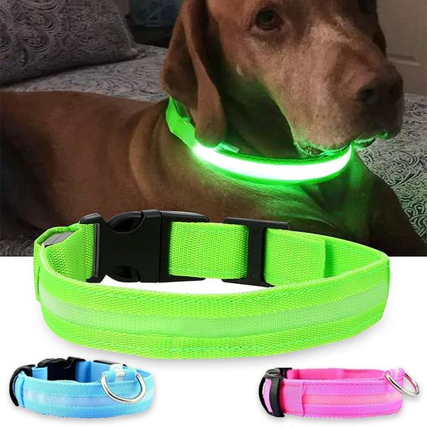led dog collar pet products supplies puppies leash usb charging nylon anti-lost night safety flashing collars & leashes
led dog collar pet products supplies puppies leash usb charging nylon anti-lost night safety flashing collars & leashes
