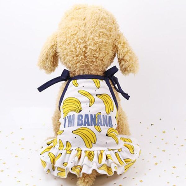cute print small dog hoodie coat winter warm pet clothes for chihuahua shih tzu sweatshirt puppy cat pullover dogs pets clothing costumes
cute print small dog hoodie coat winter warm pet clothes for chihuahua shih tzu sweatshirt puppy cat pullover dogs pets clothing costumes