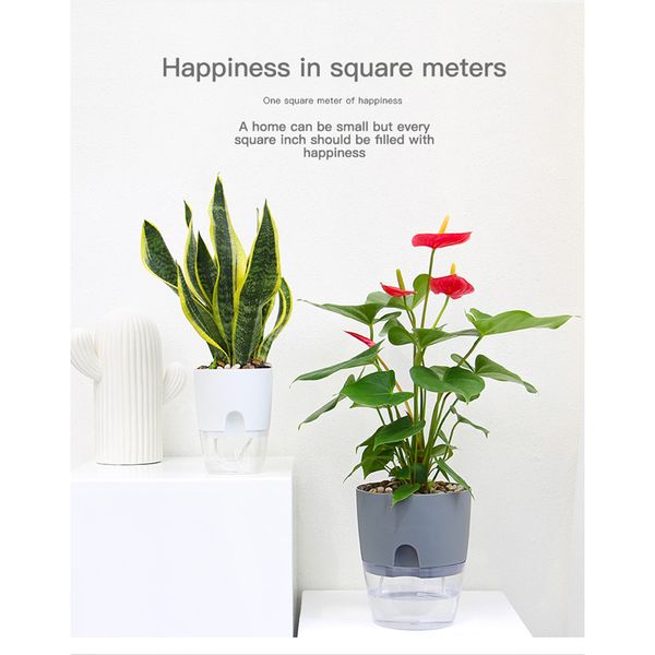 the transparent plastic flower pot has thes function of automatic water absorbent cotton rope medium size flowers pots
the transparent plastic flower pot has thes function of automatic water absorbent cotton rope medium size flowers pots
