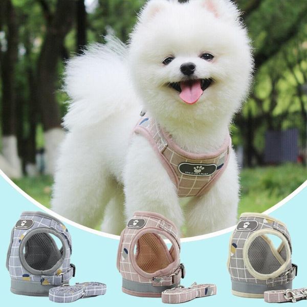 dog collars & leashes strap haulage rope package strong soft padded reflective asjuatble breathable mesh puppy vest plaid pet harness
dog collars & leashes strap haulage rope package strong soft padded reflective asjuatble breathable mesh puppy vest plaid pet harness