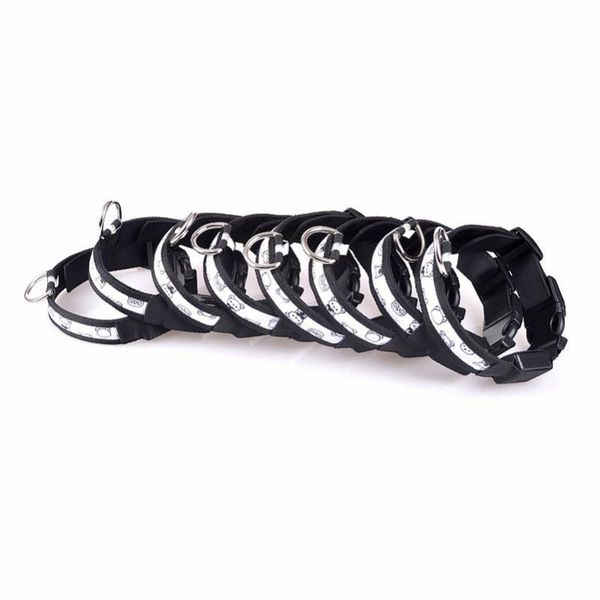 illuminate high transperent flash bear pet dog products led collar collars & leashes
illuminate high transperent flash bear pet dog products led collar collars & leashes