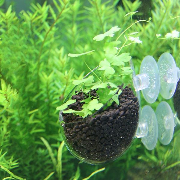 fish tank mini crystal empty glass pot polka water potted aquatic planting cylinder cup aquarium decoration accessories decorations
fish tank mini crystal empty glass pot polka water potted aquatic planting cylinder cup aquarium decoration accessories decorations